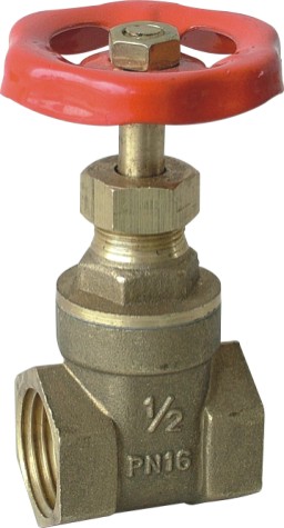 BRASS GATE VALVE