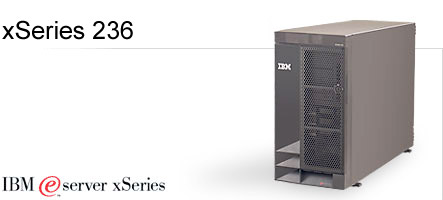 IBM  X236  I06